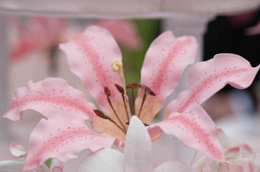 kutsche_hochzeit_SR (5)