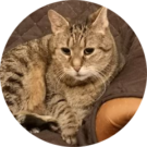 Luna Micky Avatar